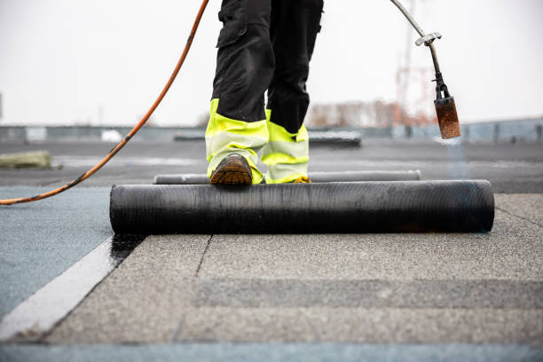 Best Roof Ventilation Installation  in Myrtle Beach, SC
